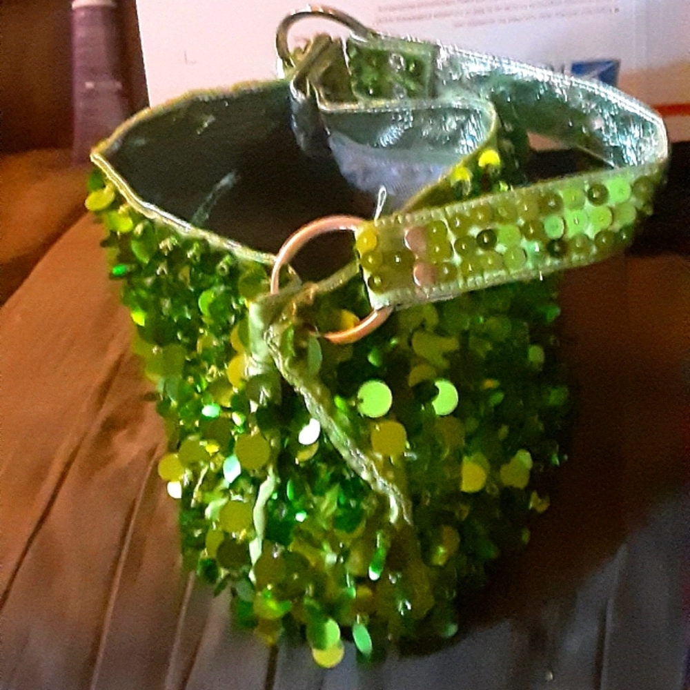 Green Gypsy Tote with zipper